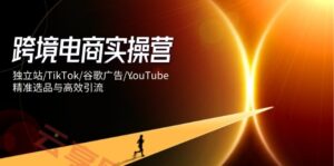 跨境电商实操营：独立站/TikTok/谷歌广告/YouTube，精准选品与高效引流-云享网创