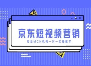 京东短视频营销项目，专业MCN机构一对一实操教学-云享网创