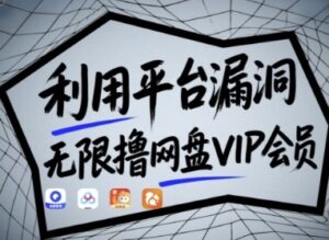 利用平台漏洞，无限撸网盘VIP会员，用户亲测有效!【漏洞原理+操作演示】-云享网创