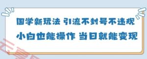 国学新玩法，引流不封号不违规小白也能操作，当日就能变现-云享网创