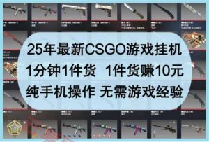 25年最新CSGO游戏挂机，1分钟1件货，1件货赚10元 纯手机操作 无需游戏经验-云享网创