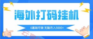 海外打码平挂机项目，全自动撸美金，无脑月入5000+-云享网创