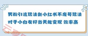 男粉引流玩法(新)，玩法友好做的好当天就能变现-云享网创