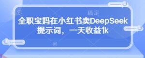 全职宝妈在小红书卖DeepSeek提示词，一天收益1k-云享网创