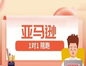 亚马逊1对1陪跑课(FBA/FBM精铺)跨境亚马逊教程-云享网创