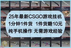 25年最新CSGO游戏挂G，1分钟1件货，1件货挣10元，纯手机操作，无需游戏经验【揭秘】-云享网创