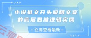 小说推文开头吸睛文案的底层思维逻辑实操-云享网创