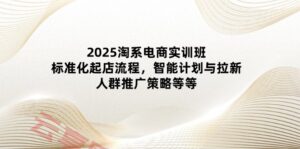 2025淘系电商实训班：标准化起店流程，智能计划与拉新，人群推广策略等等-云享网创