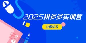 2025拼多多实训营：深度剖析运营关键，助力电商人快速提升-云享网创