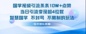 国学视频引流条条10W+点赞当日引流变现超4位数-云享网创