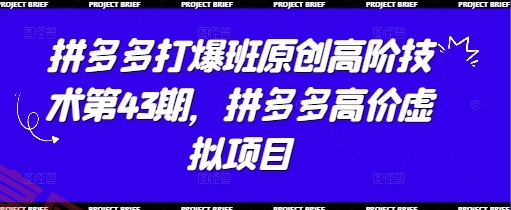 拼多多打爆班原创高阶技术第43期，拼多多高价虚拟项目-云享网创
