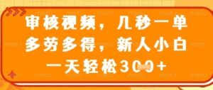 视频审核员，几秒一单，不限时间，不限地点，多做多得，新人小白一天轻松几张+【揭秘】-云享网创