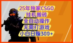 25年独家CSGO挂G搬砖，全自动操作，无需打游戏，小白日入3张+【揭秘】-云享网创