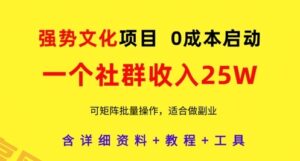 强势文化项目，一个社群收入25个W，0成本启动，可矩阵批量操作，原创详细实操教程-云享网创