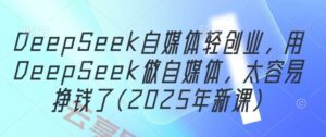 DeepSeek自媒体轻创业，用DeepSeek做自媒体，太容易挣钱了(2025年新课)-云享网创