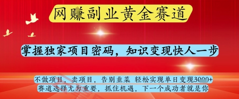 网创副业黄全赛道，掌握独家项目密码，知识变现快人一步，告别韭菜轻松实现单日变现1k+【揭秘】-云享网创