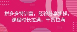 拼多多特训营，经验分享实操，课程时长拉满，干货拉满(更新25年4月)-云享网创