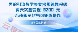 男粉引流教学美女常规跳舞视频两天实测变现1k+，不违规不封号可矩阵操作-云享网创