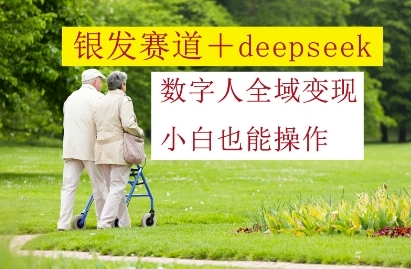 银发赛道+deepseek数字人全域变现，小白也能操作-云享网创