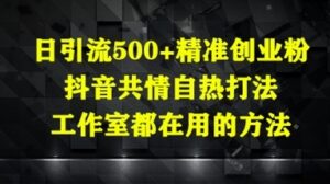 日引流500+精准创业粉，抖音共情自热打法，工作室都在用的方法-云享网创