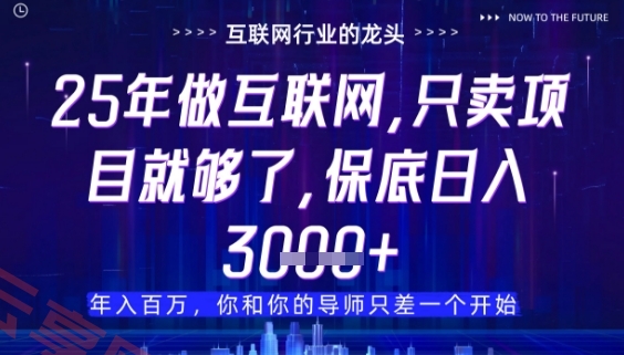 什么！25年你还在找项目做？风口早就变了，卖项目才是稳挣不赔【揭秘】-云享网创