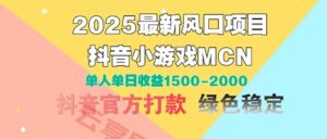 2025最新风口项目 抖音小游戏MCN 单人单日收益1500-2000+-云享网创