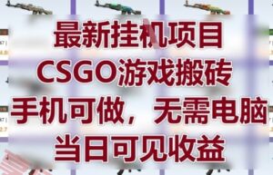 最新挂G项目，CSGO游戏搬砖，手机可做，无需电脑，当日见收益【揭秘】-云享网创