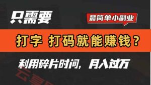 只需要打字，打码，就能赚钱？简单的赚钱小副业，利用碎片时间，月入过万-云享网创