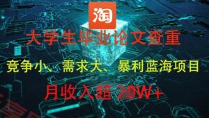 大学生毕业论文查重，暴利蓝海项目，月收入过1W+-云享网创