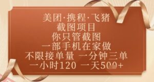 飞猪美团截图项目,你只管截图,一部手机在家做,正规平台无套路,一天5张+【揭秘】-云享网创