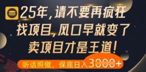 什么?25年你还在疯狂找项目做,醒醒吧,看完这些你全都懂了【揭秘】-云享网创