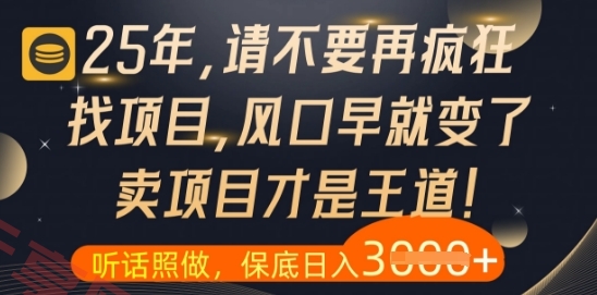 什么？25年你还在疯狂找项目做，醒醒吧，看完这些你全都懂了【揭秘】-云享网创