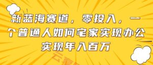 新蓝海赛道，零投入，一个普通人如何宅家办公实现年入百万-云享网创
