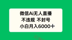 微信AI无人直播，不违规 不封号 ，小白月入6000+-云享网创
