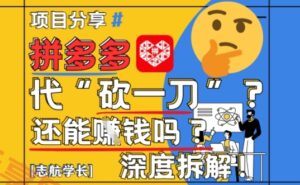 【2025最新】拼多多代坎助力项目深度拆解：还能挣钱吗?全流程玩法-云享网创