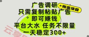 广告调研项目，只需复制粘贴广告即可挣钱，平台大水，任务不限量，一天3张【揭秘】-云享网创