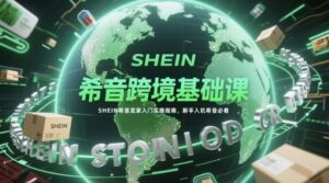 希音跨境基础课，SHEIN希音卖家入门实操指南，新手入坑希音必看-云享网创