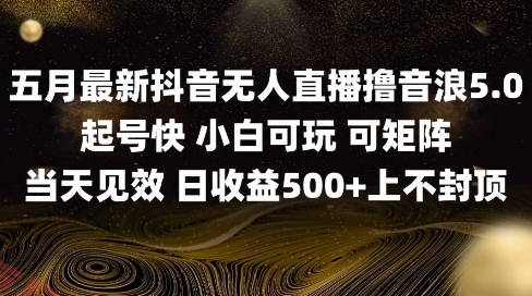 2025五月最新无人直播撸音浪单日产出5张+实操教程【揭秘】-云享网创