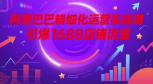 阿里巴巴精细化运营实战课，引爆1688店铺流量-云享网创