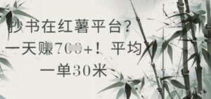 抄书在小红薯平台？平均一单30米，一天收益几张！-云享网创