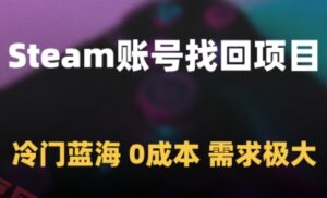 Steam账号找回项目，冷门蓝海，0成本，需求极大-云享网创