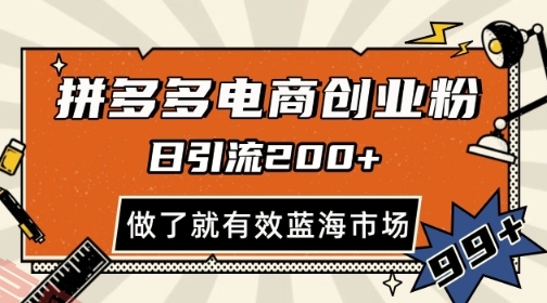 拼多多引流电商创业粉，日引200+，可矩阵放大，做了就有效【揭秘】-云享网创