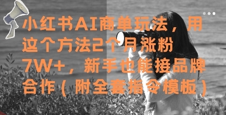 小红书AI商单玩法，用这个方法2个月涨粉7W+，新手也能接品牌合作(附全套指令模板)-云享网创