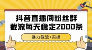 抖音直播间粉丝群暴力截流，一台电脑每天稳定2000条数据，暴力截流+实操 【揭秘】-云享网创
