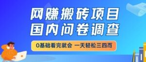 网创搬砖项目,国内问卷调查,小白轻松上手,一天三四张的也不难,干就完了【揭秘】-云享网创