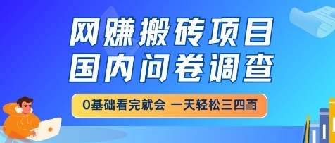 网创搬砖项目，国内问卷调查，小白轻松上手，一天三四张的也不难，干就完了【揭秘】-云享网创
