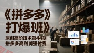 《拼多多打爆班》原创高阶技术第44期,拼多多高利润强付费-云享网创