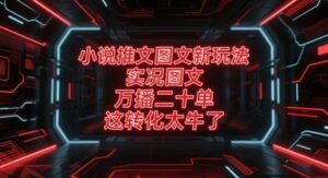 小说推文图文新玩法，实况图文，万播二十单，这转化太牛了！-云享网创