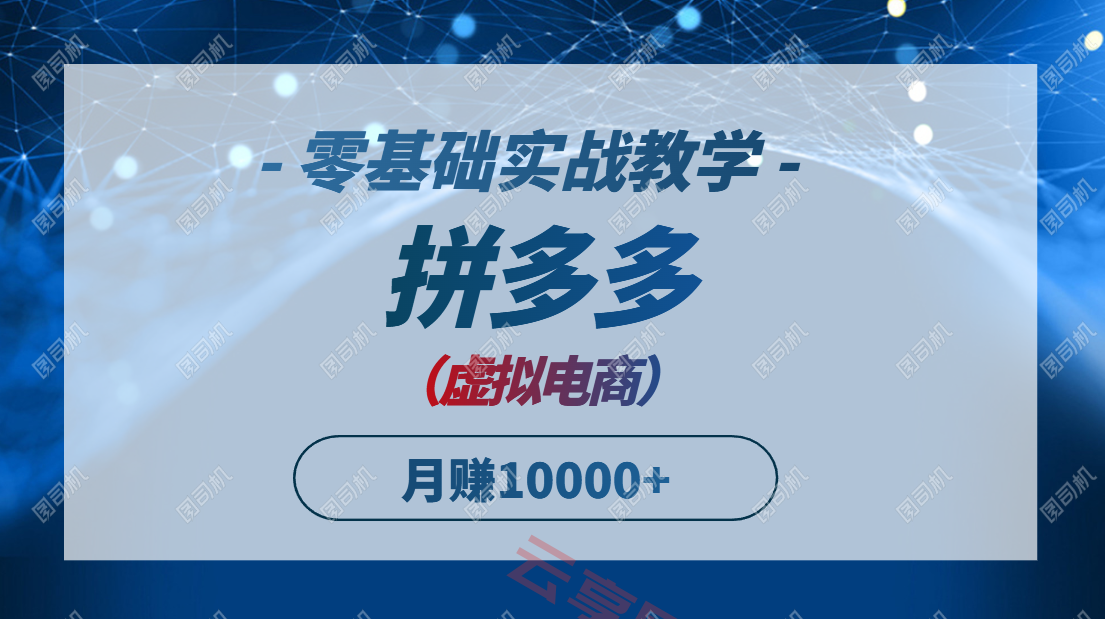 拼多多虚拟电商，零基础实战教学，快速打爆商品，新手也能月入10000+-云享网创