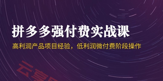 拼多多强付费实战课-44期，高利润产品项目经验，低利润微付费阶段操作-云享网创